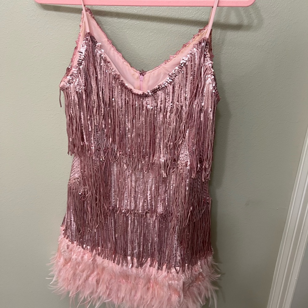 Pink Fringe and Feather Dress